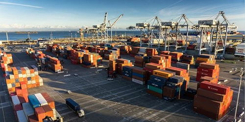 全球貿(mào)易受阻中的破冰之舉 阿里巴巴國(guó)際站“春雷計(jì)劃”與線上展會(huì)引領(lǐng)新航向